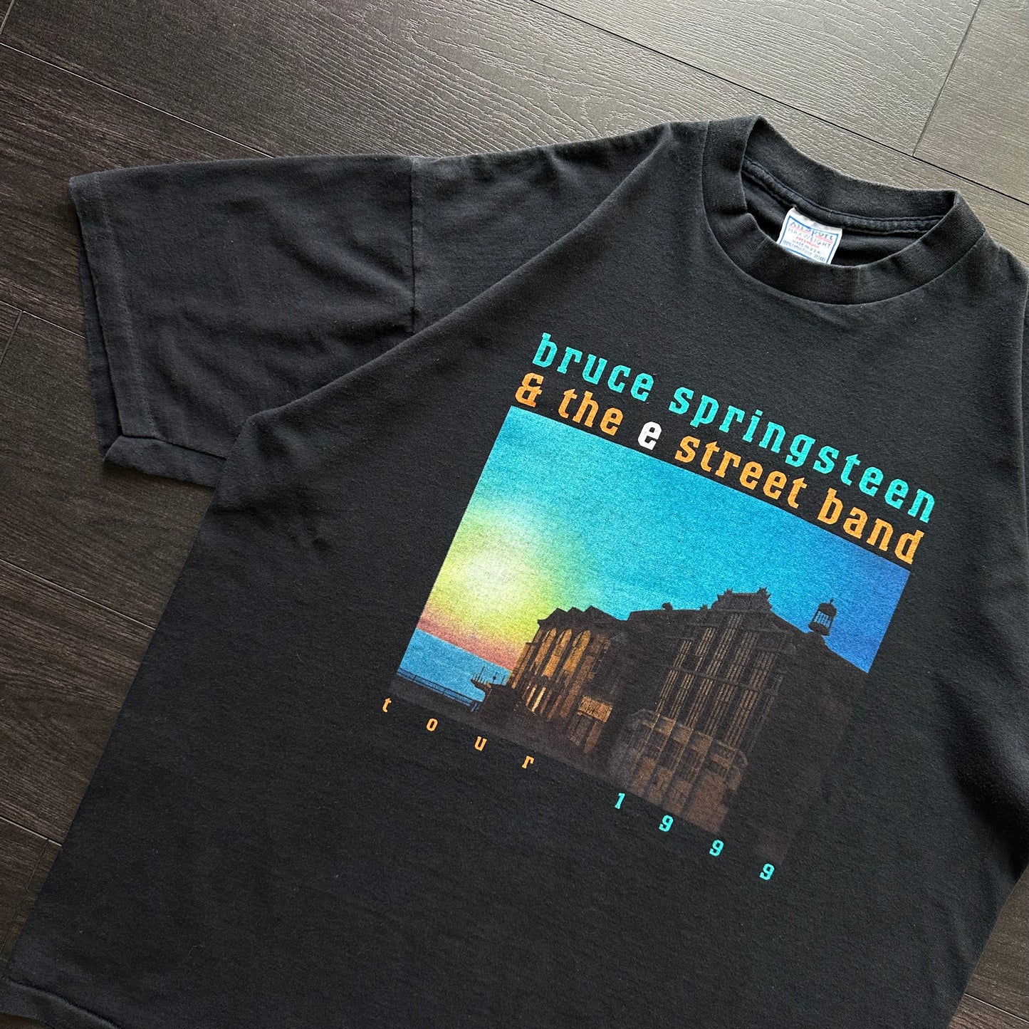 Vintage Bruce Springsteen & The E Street Band Tee